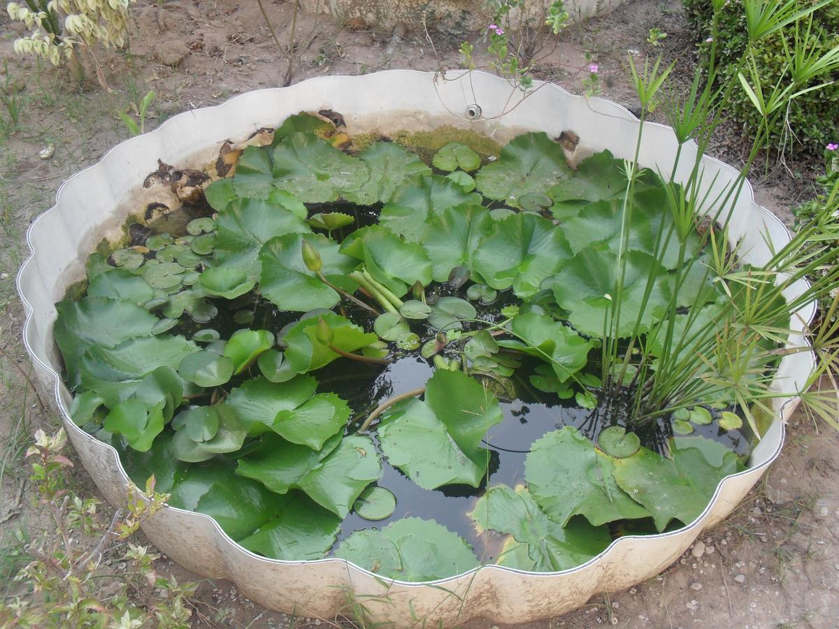 Garden Roomz Oman Muscat Exterior foto