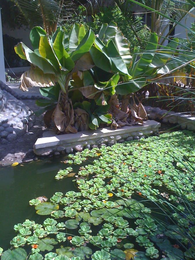 Garden Roomz Oman Muscat Exterior foto
