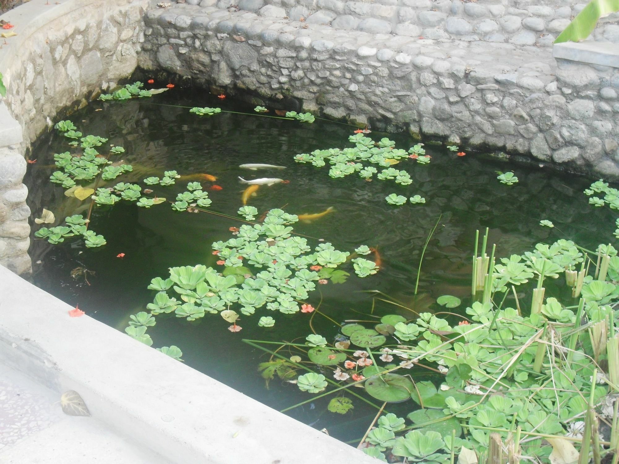 Garden Roomz Oman Muscat Exterior foto